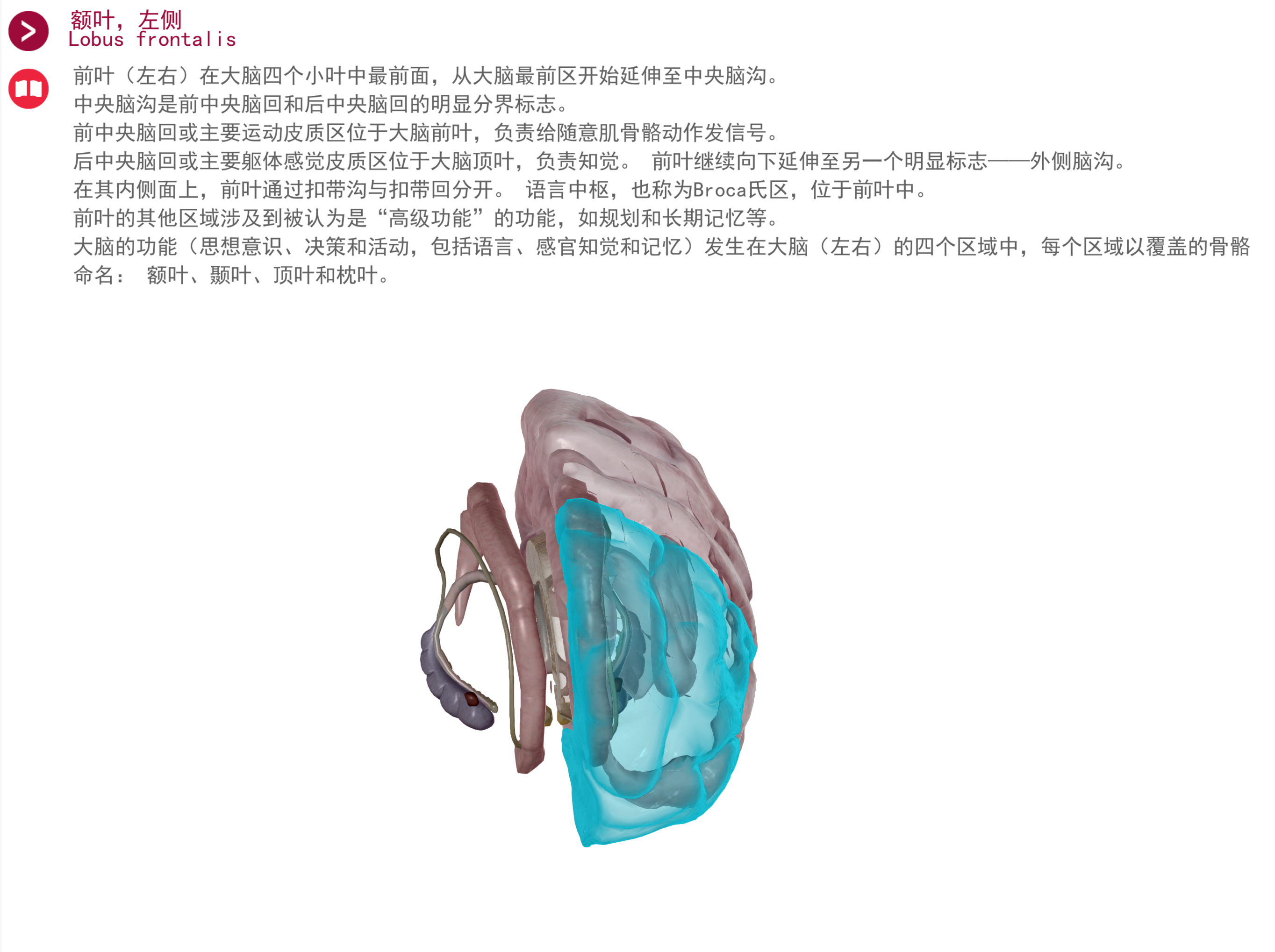 223.png